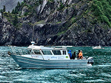 Keep It Reel - Charter Fishing and Wildlife Viewing in Seward Alaska